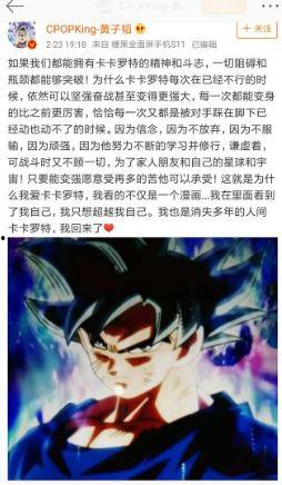 龙珠瓜怎么吃,解锁美味新体验