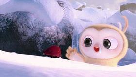 搞笑动物吃瓜视频,动物界的“喜剧之王”大揭秘