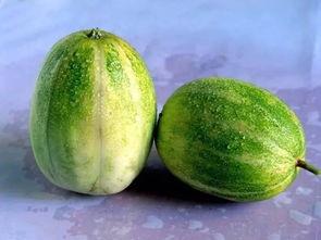 什么瓜可以减肥吃,健康享瘦新选择