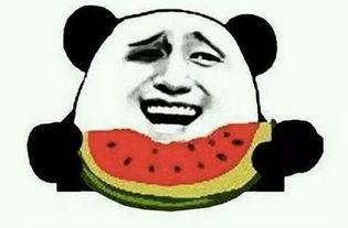 吃瓜大戏,吃瓜大戏幕后真相揭秘