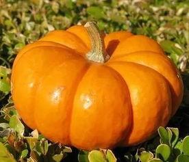 搬个小板凳吃瓜,一起吃瓜看热闹