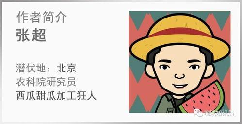 吃瓜大国,揭秘我国网络舆论场的独特现象