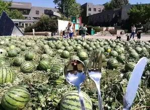 毕业吃瓜群众视频